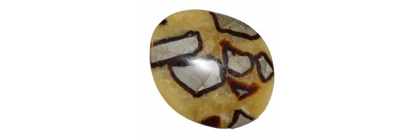 Septarie
