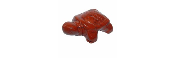 Schildkröten klein