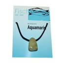 Fisch Sternzeichen Karte 20.02. - 20.03 Glücksstein Aquamarin gebohrt