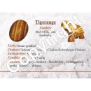 Tigerauge braun Stäbchen Armband auf Stretchband