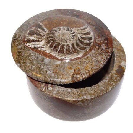 Ammonit Fossil Dose aus Jura Marmor braun rund mit Deckel aus Marokko ca. 50 x 65  mm