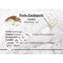 Perlen-Kette 7/45cm Süßwasserperle Natur weiß mit Silber Karabiner