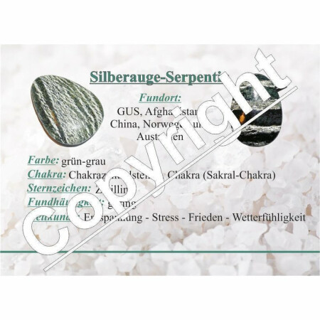Silberauge / Serpentin Handschmeichler flacher Trommelstein  ca. 30-35 mm