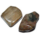 Versteinertes Holz Trommelstein ca. 30 - 40 mm Handschmeichler oder Wasserstein 1 Stück