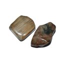 Versteinertes Holz Trommelstein ca. 30-40 mm Handschmeichler Wasserstein 1 Stück