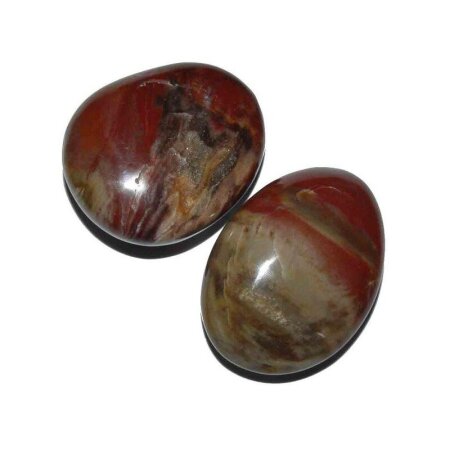 Versteinertes Holz Trommelstein ca. 40-50 mm Handschmeichler Wasserstein 1 Stück