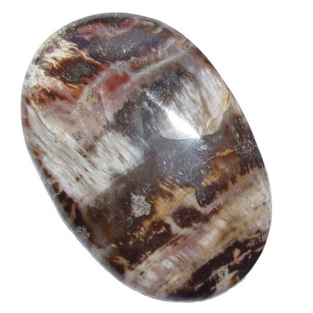 Holz versteinert aus Madagaskar flacher Trommelstein ca. 45 - 50 mm Handschmeichler 1 Stück