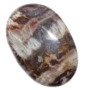 Holz versteinert aus Madagaskar flacher Trommelstein ca. 45 - 50 mm Handschmeichler 1 Stück