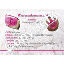 Wassermelonen Turmalin Scheibe Größe  ca. 10 x 9 x 2 mm Super A* Qualität