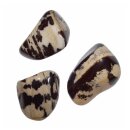 Zebra Jaspis Trommelstein XL ca. 40-50 mm Gewicht ca.40-50 g Handschmeichler