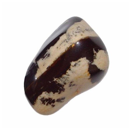 Zebra Jaspis Trommelstein ca. 30-40 mm Gewicht ca.30-40 g Handschmeichler