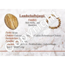 Landschaftsjaspis Anhänger flacher Trommelstein ca. 30 x 20 mm in Tropfen Form mit Bohrung ca. 2,5 mm