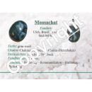 Moosachat Anhänger flacher Trommelstein ca. 30 x 20 mm in Tropfen Form mit Bohrung ca. 2,5 mm