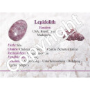 Lepidolith Anhänger flacher Trommelstein ca. 30 x 20 mm in Tropfen Form mit Bohrung: ca. 2,5 mm