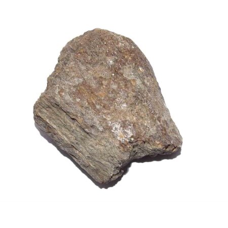 Mammut Knochen versteinert Größe: ca. 30 - 60 mm