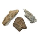 Mammut Knochen versteinert Größe: ca. 30 - 60 mm