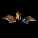 Tigerauge Delfin ca. 30 x 10 mm