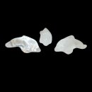Bergkristall Delfin ca. 40 x 12,5 mm
