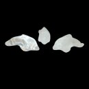 Bergkristall Delfin / Delphin ca.40 x 12,5 mm