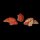 Jaspis Rot Delfin ca. 40 x 12,5 mm