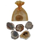 Set versteinerte Holz Scheiben Set mit 10 Stücken je...