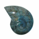 Labradorit in Ammonit Schnecken Form A* Extra...