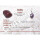 Rubin - Disthen Massagestab RARITÄT XL ca. 95 x 20 mm