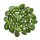 Peridot / Olivin flacher Trommelstein Rarität ca. 15 - 18  mm A*extra Qualität klar mit Einschlüssen