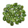 Peridot / Olivin flacher Trommelstein Rarität A*extra Qualität klar mit Einschlüssen ca. 10 - 12 mm