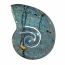 Labradorit in Ammonit Schnecken Form A* Extra Steinqualität und Polierung ca. 45 mm