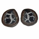 Septarie Paar aufgeschnittene Geode mit interessanter Zeichnung verschiedene Größen