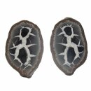Septarie Paar aufgeschnittene Geode mit interessanter Zeichnung verschiedene Größen