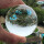 Glaskugel Kristallkugel Wahrsagerkugel Feng Shui Kugel schöne klare Qualität mit Glas Ständer  in den Größen 60 - 200  mm wählbar 80 mm