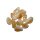 Citrin  Amethyst gebrannt Trommelsteine ca. 10 - 30 mm