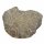Koralle versteinert auch Petoskey Stein genannt einseitig poliert ca. 40 - 80 mm