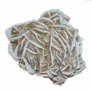 Sandrose Wüstenrose Frozen ca. 30 - 70 mm