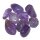 Amethyst Trommelstein klar A/B* Qualität ca. 20-35 mm