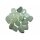 Jade / Serpentin Trommelsteine ca. 20 -30  mm