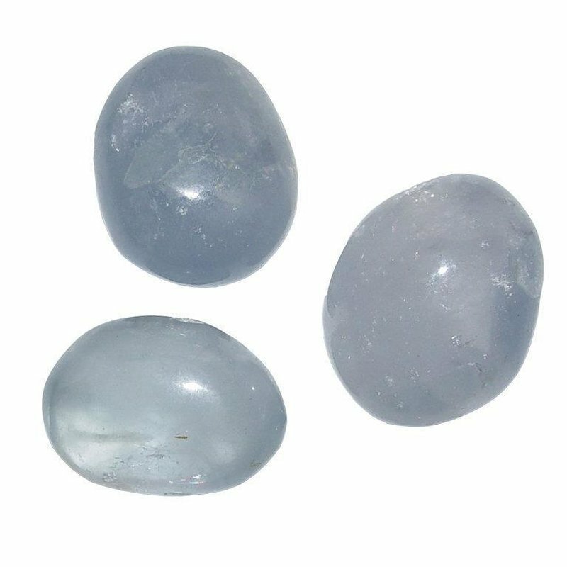 1 x Versteinerte Koralle Petoskey 22 x 30 mm Ovale Edelstein Zubehör Basteln 