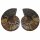 Ammonit Paare XXL   Ø ca. 10 -18  cm