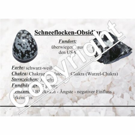 Schneeflocken Obsidian Scheibenstein ca. 30 - 45 mm