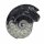 Goniatit versteinertes Fossil (Ammonit) fossiles Gehäuse eines Kopffüßlers ca. 40 -80  mm