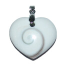 Operculum (Shiva - Auge) Herz gebohrt als Anhänger mit silberfarbenen Clip ca. 30 mm