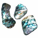 Paua Shell  Seeopal mit herrlichem blauem Farbspiel ca. 20 - 50 mm