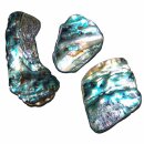 Paua Shell  Seeopal mit herrlichem blauem Farbspiel ca....