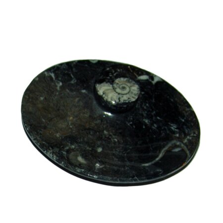 Selenit + Orthoceras Schale Seifenschale mit versteinertem Fisch ca. 12 x 9,5 cm