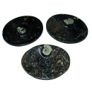 Selenit + Orthoceras Schale Seifenschale mit versteinertem Fisch ca. 12 x 9,5 cm