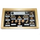 Fisch und Reptilien Zahn Versteinerungen in Schaukasten...