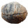 Achat Geode PAAR aufgeschnitten, poliert A* Qualität Größe *S* ca. 30 - 40 mm