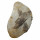 Chiastolith auch Kreuzstein genannt in Matrix (Muttergestein) Sammler Rarität ca. 70-80mm